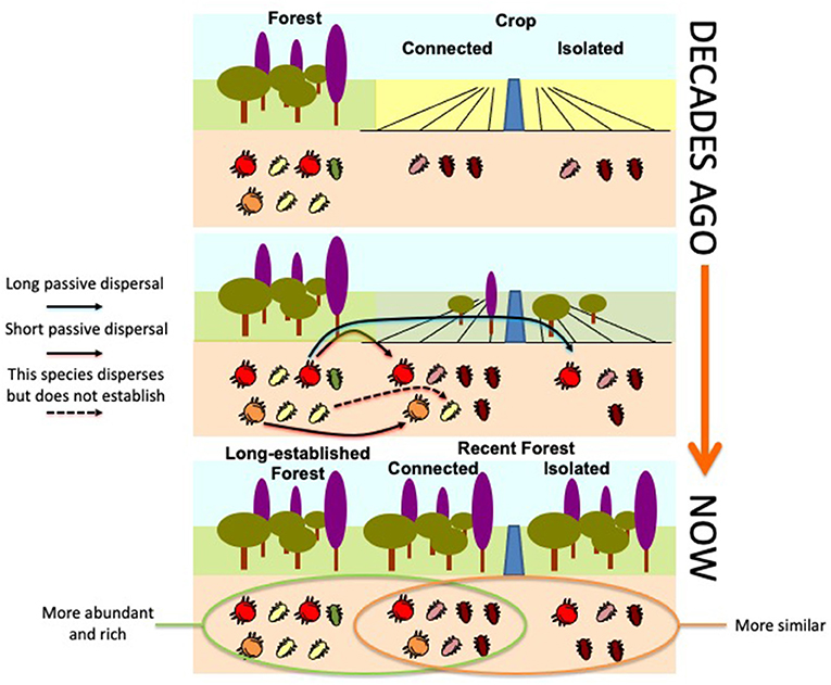 Figure 3: Ecosystems change and grow over time.