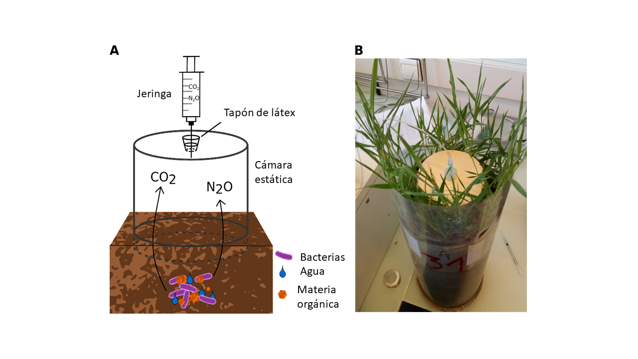 Figura 3: Las comunidades microbianas se pueden describir usando tres propiedades.