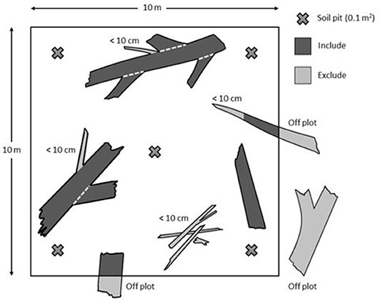 Figure 2: Earthworm sampling in an oak forest plot.