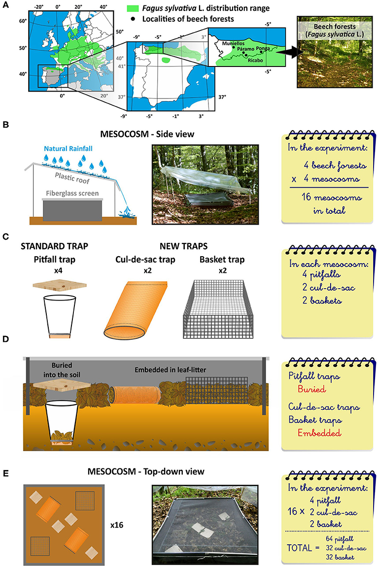 Figure 2: Our experimental setup.