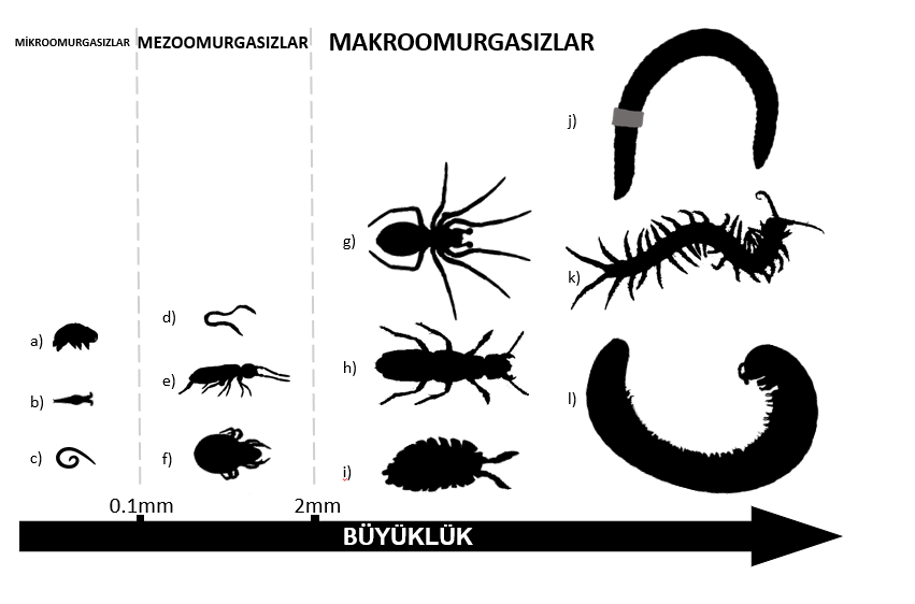 Kutu 1: Topraktaki mikroplastiklerin kaynakları ado