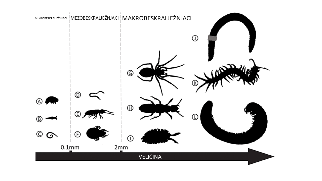 Okvir 1: Izvori mikroplastike u tlu.
