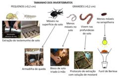 Figura 1: Métodos de amostragem e estudo dos invertebrados do solo.
