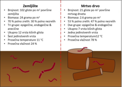 Slika 3: Rezime rezultata istraživanja kišnih glista u zemljištu i mrtvom drvetu u hrastovim šumama.