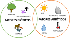 Figura 3: Principais fatores bióticos e abióticos que interagem no ambiente.
