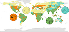 Figura 1: Mappa globale che mostra la distribuzione e sovrapposizione tra la biodiversità di superficie (mammiferi, uccelli, anfibi e piante) e quella del sottosuolo (funghi, batteri, insetti e vermi).
