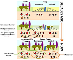 Figure 3: Ecosystems change and grow over time.