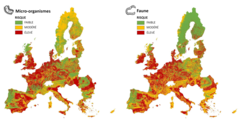 Figure 2: Cartes des risques sur les micro-organismes du sol et la pédofaune pour les 27 pays de l’Union Européenne, basé sur une collecte de données en 2016.