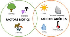Figura 3: Alguns factors biòtics i abiòtics importants que interactuen al medi ambient.