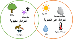 الشكل 3: العوامل البيولوجية والبيئية المهمة التي تتفاعل في البيئة. - تؤثر هذه العوامل على نمو النباتات ويمكن أن تؤثر على التواصل الكيميائي بي