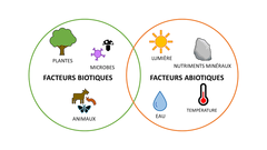 Figure 3 : Facteurs biotiques et abiotiques importants qui interagissent dans l’environnement.