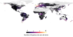 Figure 2: Le nombre d'espèces de vers de terre dans le monde, créé grâce à notre modèle.