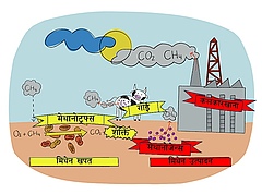 चित्र २ – मिथेनका मुख्य स्रोत तथा सिंकहरू।