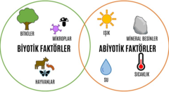 Figür 3 : Çevrede etkileşim içerisinde olan önemli biyotik ve abiyotik faktörler.