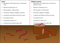 Figura 3: Síntesis de los resultados de los estudios de lombrices de tierra del suelo y de la madera muerta en bosques de robles.