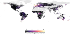 Typically, the number of earthworm species in any one place varied between 1 (areas in dark purple) and 4 (areas in bright yellow), but areas in the temperate region, such as Europe, had the highest number of earthworm species (shown in the yellow shades).
