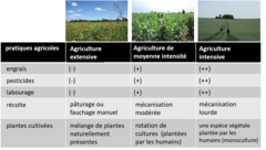 Figure 2 : Il y a trois façons d’utiliser les terres.