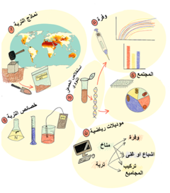 الشكل1 : لطرق التي نتبعها للعثور على ودراسة التربة الميثانوتروفات. نحن اخترنا الأراضي الجافة في جميع أنحاء العالم و أخذنا عينات من التربة . ح?