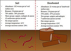 Figure 3: Summary of the results from the earthworm surveys of soil and deadwood in oak forests.