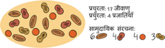 चित्र 3: माइक्रोबियल समुदायों को तीन गुणों का उपयोग करके वर्णित किया जा सकता है। बहुतायत एक निश्च??