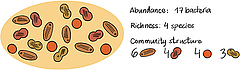 Figura 3: Podem descriure les comunitats microbianes utilitzant tres propietats.