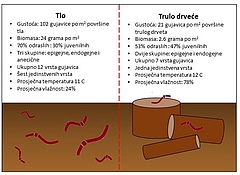 Slika 3: Sažetak rezultata istraživanja gujavica u tlu i trulom drveću u hrastovim šumama.