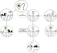 Figure 2: Comment décidons-nous quelles zones protéger ?