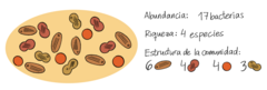 Figura 3: Las comunidades microbianas se pueden describir usando tres propiedades.