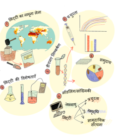 चित्र 1: मिट्टी के मीथेनोट्रोफ को खोजने और उनका अध्ययन करने के लिए हम जिन तरीकों का इस्तेमाल करते ह