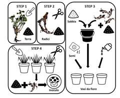 Figura 3: Inoculo di funghi micorrizici fai-da-te.