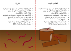 الشكل 3: ملخص نتائج مسوحات ديدان الأرض للتربة والأخشاب الميتة في غابات البلوط.
