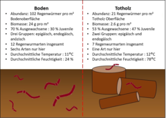Abbildung 3: Zusammenfassung der Ergebnisse aus den Regenwurm-Untersuchungen des Bodens und des Totholzes in Stieleichen-Wäldern.