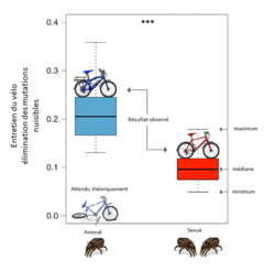Figure 3 : Les oribates asexués éliminent les mutations légèrement nuisibles encore plus efficacement que les oribates sexués [1].