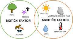 Slika 3 : Važni biotički i abiotički faktori koji djeluju na okoliš.